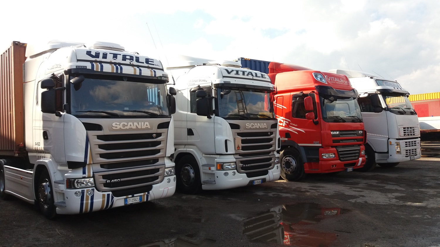 Vitale Srl