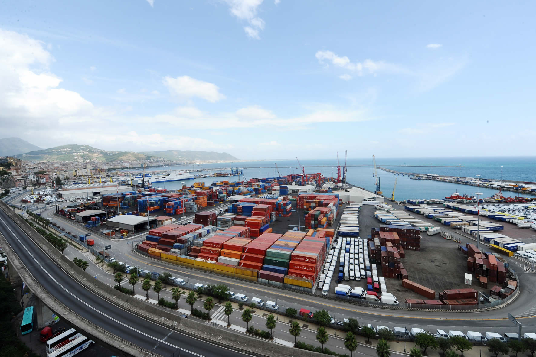 Vitale Srl